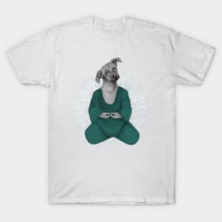 almost meditating dog 3 T-Shirt